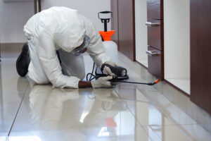 Pest control man spraying pesticide under the cabinet in kitchen